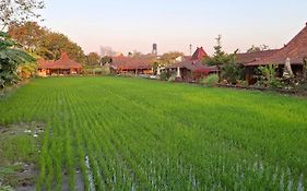 Alamanda Villas, Family Villas, Pool & Local Tours